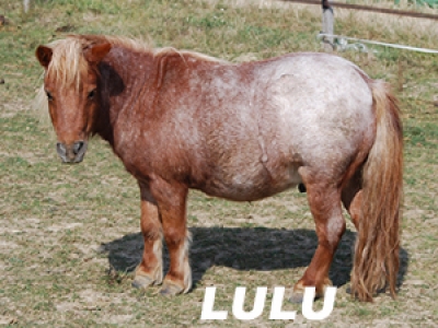 Lulu