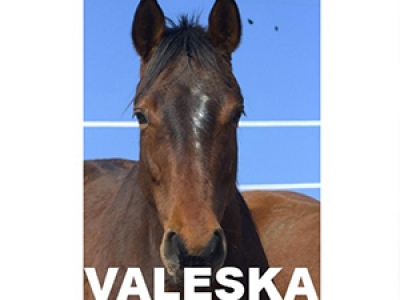 Valeska