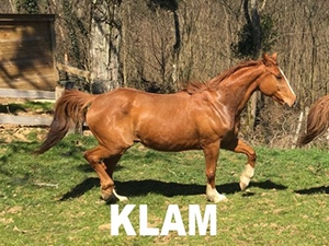 Klam